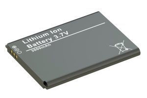 Litioum Ion Battery Class Action